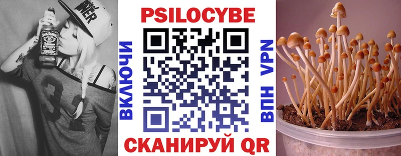 Псилоцибиновые грибы прущие грибы  Яблоновский 